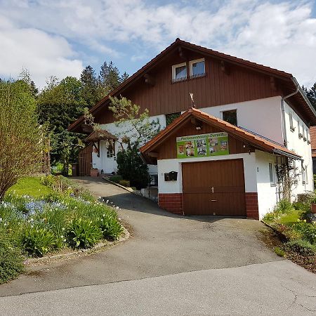 Ferienwohnung Dersch Mauth Eksteriør bilde