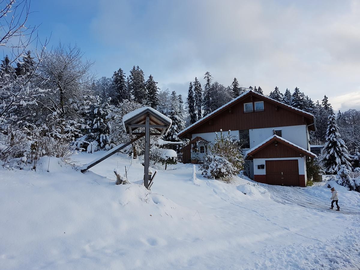 Ferienwohnung Dersch Mauth Eksteriør bilde